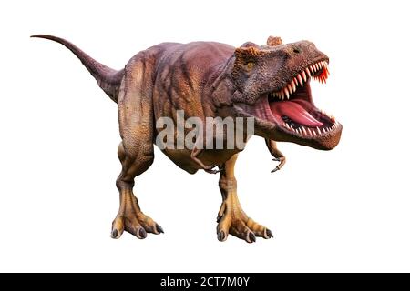 Tyrannosaurus Rex or T Rex scientifc and realistic reconstitution isolated on a white background. 3D rendering illustration of the king of dinosaurs. Stock Photo