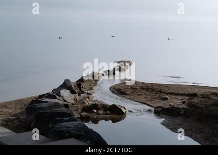 a brown small island on the sea with stones and water in between small waterfowl swimming far away in the background at dusk in good weather without p Stock Photo