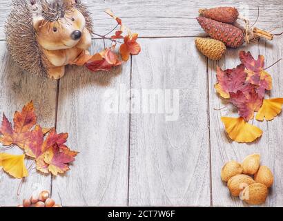 Natural background with autumn leaves and autumn's fruits Stock Photo