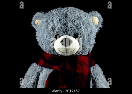 Teddy Bear with tartan plaid scarf isolated on a black background Stock Photo