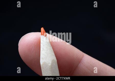 Hand holding a red colored pencil Stock Photo