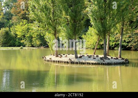 Park pond, Villa Parco Bolasco, Historical Park, Castelfranco Veneto