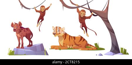 Cartoon wild animals tiger, monleys and hyena, jungle inhabitants predators and herbivorous in zoo park or safari outdoor area. Beasts in fauna isolated on white background, vector illustration, set Stock Vector