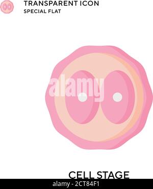 Cell stage vector icon. Flat style illustration. EPS 10 vector. Stock Vector