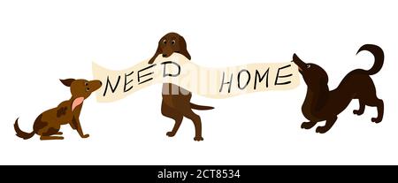 adopt homeless dog illustration . Help homeless animals concept, sad puppies with text banner need home. Cartoon lonely pets isolated on white Stock Vector