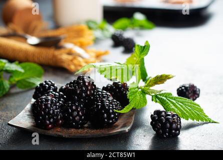 Ripe blackberries with leaves in a metal bowl on dark background. Stock Photo