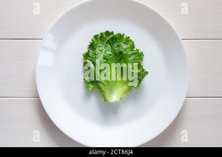 green lettuce leaf on white plate, top view Stock Photo