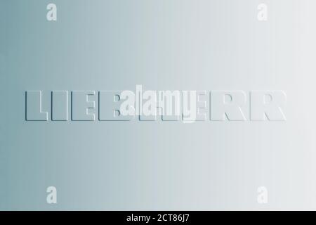 Liebherr logo on white kitchen refrigerator door, closeup - Moscow 20/09/2020 Stock Photo