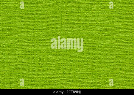 Green colored plain textured cardstock background image. Color swatch shade with copy space. Stock Photo