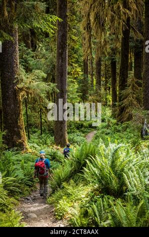 Two women hiking the Hoh River trail, Hoh Rainforest, Olympic National Park, Washington, USA. Stock Photo