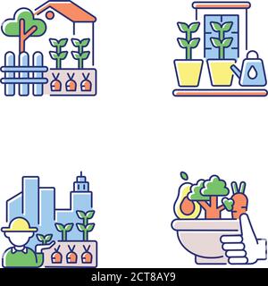 Urban farming RGB color icons set Stock Vector Image & Art - Alamy