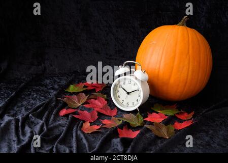 Orange pumpkin and classic white alarm clock, fall colored leaves, on a black velvet background, fall time change Stock Photo