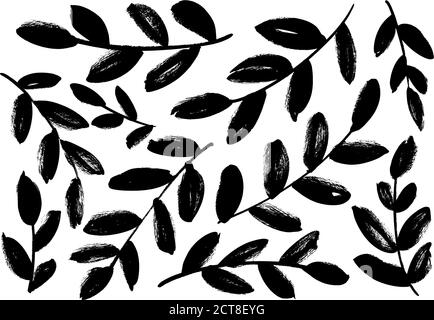 Plant branches with leaves vector illustrations. Stock Vector