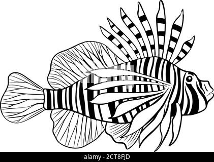 Illustration of red lionfish isolate on white background Stock Photo
