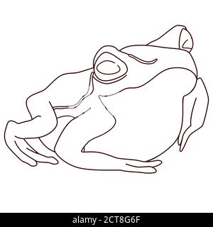 Black line frog on white isolated backdrop. Realistic amphibia for invitation or gift card, scrapbook, notebook sticker, bath tile. Phone case or clot Stock Vector