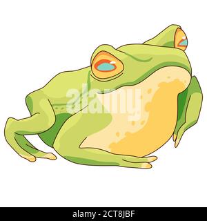 Realistic frog on white isolated backdrop. Green amphibia for invitation or gift card, scrapbook, notebook sticker, bath tile. Phone case or cloth pri Stock Vector