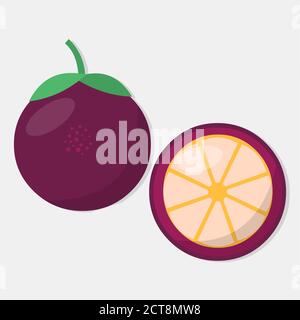 mangosteen fruit vector illustration in flat style Stock Vector