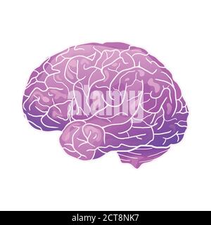 Cartoon neon illustration of a human brain with highlights and shadows. Side view. The object is separate from the background. Vector element for your Stock Vector