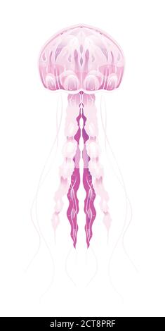 Colorful illustration of neon jellyfish. The object is separate from the background. Illustration for printing on T-shirts, covers, sketches of tattoo Stock Vector