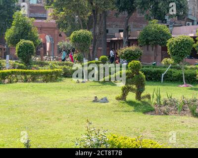 garden with soldier topary at jallianwala bagh in amritsar, india Stock Photo