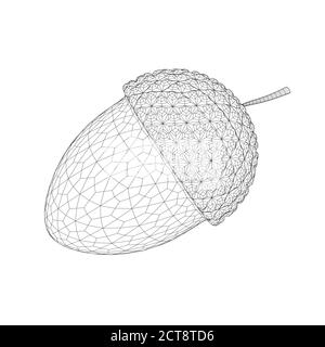 Acorn wireframe from black lines isolated on white background. 3D. Vector illustration Stock Vector