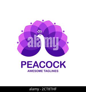 creative simple colorful peacock logo design vector Stock Vector