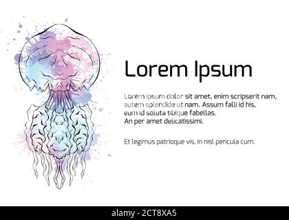 Template banner with Contour black and white illustration of jellyfish with watercolor splashes. Linear illustration for presentations, banners, artic Stock Vector