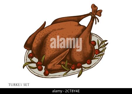 Vector set of hand drawn colored  turkey stock illustration Stock Vector