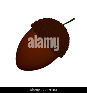 Brown acorn isolated on white background. 3D. Vector illustration Stock Vector