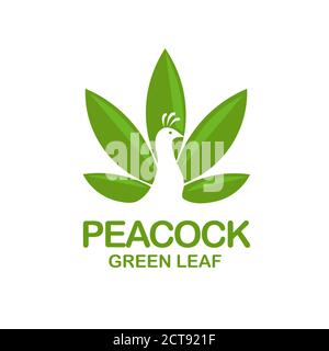 creative simple peacock with green leaf logo design vector Stock Vector