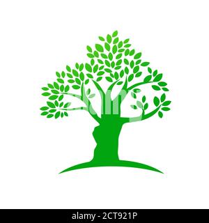 tree silhouette with green color vector Illustration Stock Vector