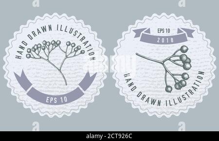Monochrome labels design with illustration of viburnum Stock Vector