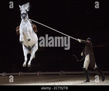 THE SPANISH RIDING SCHOOL PERFORM AT THE WEMBLEY ARENA, LONDON.   PHOTO CREDIT :  © MARK PAIN / ALAMY STOCK PHOTO Stock Photo