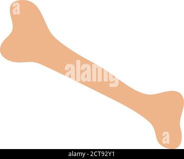 human bone body part icon flat style vector illustration Stock Vector