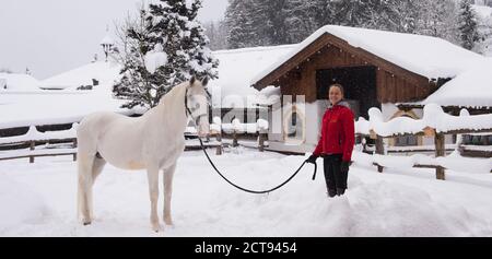 Gorgeous Lipizzaner horses in the snow at the Stanglwirt Hotel in Going, Austria. PHOTO CREDIT : © MARK PAIN / ALAMY STOCK PHOTO Stock Photo