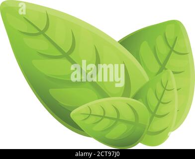 Basil culinary icon. Cartoon of basil culinary vector icon for web design isolated on white background Stock Vector