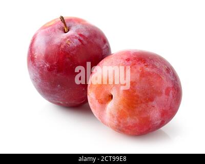 fresh ripe red plums isolated on white background Stock Photo