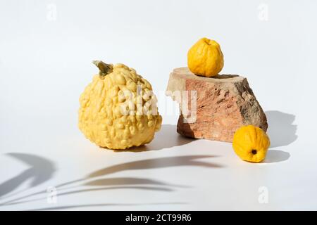 Modern Autumn composition with shadows. Pumpkins, quince and brick podium on white background. Stock Photo