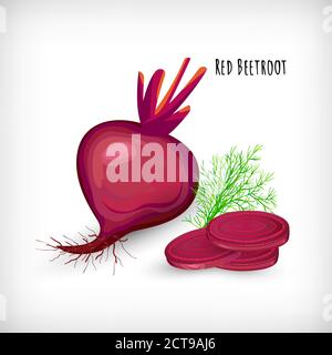 Whole beetroot and sliced on white background illustration Stock Vector ...