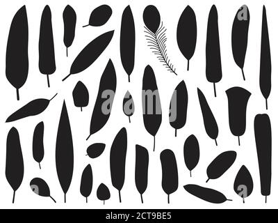 Black silhouettes of a bird feather collection. Vector isolated on ...
