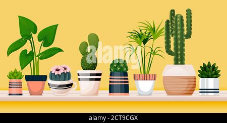 Home plants in decorative pots on shelf against yellow wall. Vector flat cartoon illustration of green potted houseplants. House room decoration desig Stock Vector