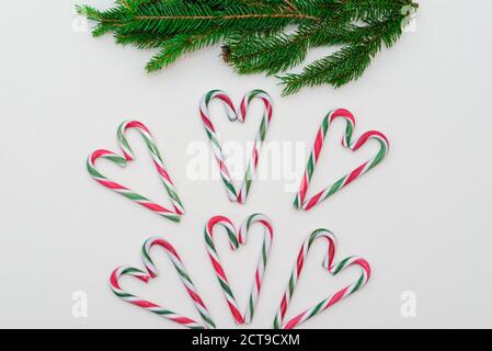 Top view. Heart shape made of candy canes and fir tree twig on white background. Stock Photo