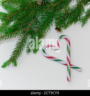 Top view. Heart shape made of candy canes and fir tree twig on white background. Stock Photo