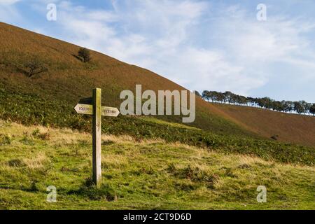 Traidtional sign post on the North Yorkshire Moors seen near Pickering in September 2020. Stock Photo