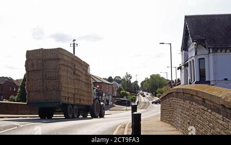 Early autumn in Burscough as a tractor and trailer has just crossed the bridge over the canal with a load of straw being taken for storage in a barn. Stock Photo