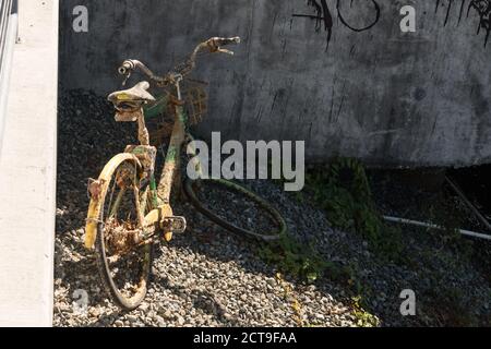 Seattle, USA. 28th Aug, 2020. A Lime bike-share bike pulled out of Lake Union. Stock Photo