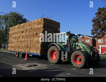 Cw 7327 Fendt Tractor and straw trailer Burscough 21.9.2020  Early autumn in Burscough and it’s time for the straw harvested from the surrounding fiel Stock Photo