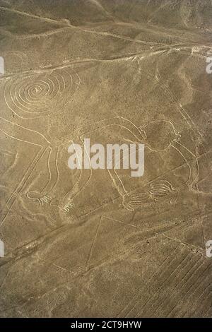 Peru, Ica, Nasca Lines, view of the monkey, aerial view Stock Photo