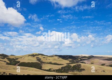 New Zealand, Northland, Cape Reinga area, Farmland, Te Paki Sand Dune in the background on right Stock Photo