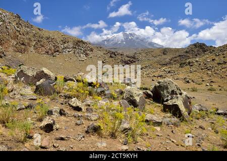 Turkey, Eastern Anatolia, Agri province, Mount Ararat National Park Stock Photo